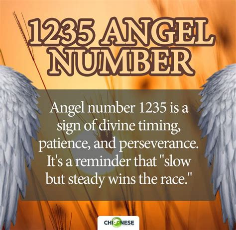 1235 angel number|1235 Angel Number Meaning: Guidance, Progress,。